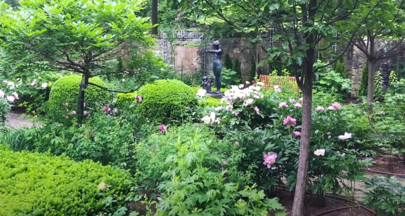 Well-maintained garden with healthy shrubs and mature trees in Fontainebleau, FL